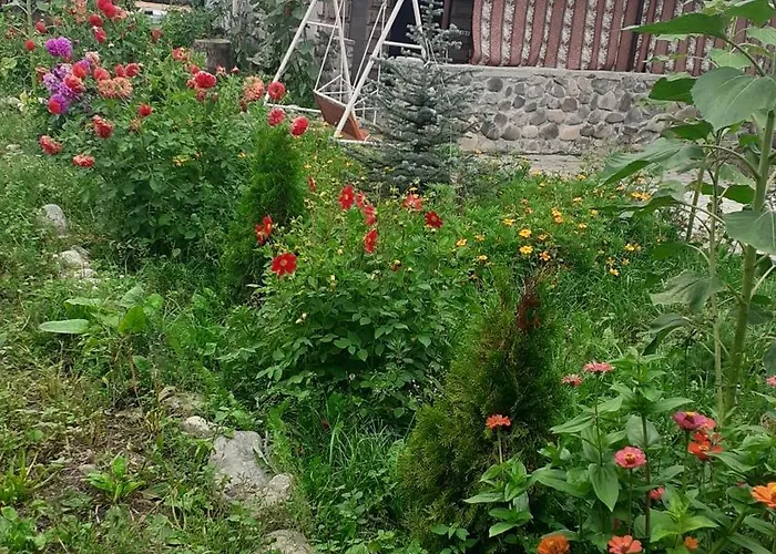 Pchak Guesthouse B&B